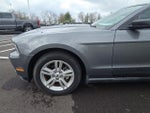 2010 Mustang Thumbnail 13