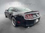 2013 Mustang Thumbnail 13