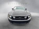2013 Mustang Thumbnail 18
