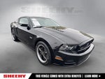 2013 Mustang Thumbnail 34