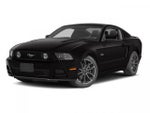 2014 Mustang Thumbnail 1