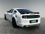 2013 Mustang Thumbnail 6