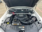 2013 Mustang Thumbnail 26