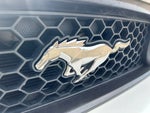 2013 Mustang Thumbnail 31