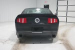 2012 Mustang Thumbnail 6