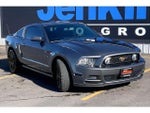 2013 Mustang Thumbnail 2