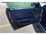 2013 Mustang Thumbnail 22