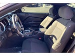 2013 Mustang Thumbnail 24