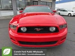 2013 Mustang Thumbnail 2
