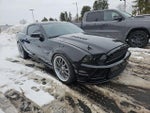 2014 Mustang Thumbnail 1