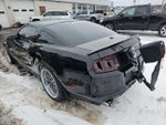 2014 Mustang Thumbnail 5