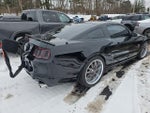 2014 Mustang Thumbnail 6