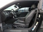 2014 Mustang Thumbnail 19