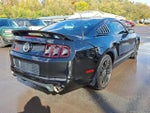 2014 Mustang Thumbnail 10