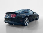 2010 Mustang Thumbnail 7