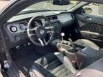 2010 Mustang Thumbnail 14