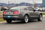 2010 Mustang Thumbnail 2