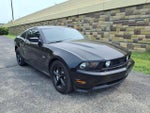 2010 Mustang Thumbnail 2