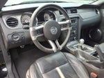2010 Mustang Thumbnail 19