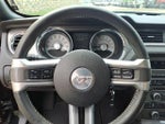 2010 Mustang Thumbnail 22
