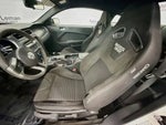 2013 Mustang Thumbnail 18