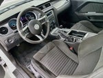 2013 Mustang Thumbnail 19