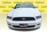 2014 Mustang Thumbnail 14