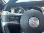 2014 Mustang Thumbnail 17