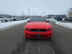 2014 Mustang Thumbnail 2