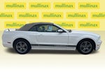 2013 Mustang Thumbnail 2