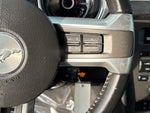 2013 Mustang Thumbnail 17