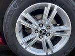 2014 Mustang Thumbnail 13