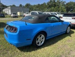 2014 Mustang Thumbnail 14