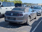 2014 Mustang Thumbnail 3