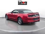 2013 Mustang Thumbnail 12