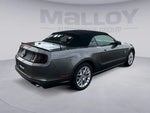 2013 Mustang Thumbnail 5