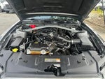 2013 Mustang Thumbnail 20