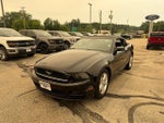 2014 Mustang Thumbnail 3