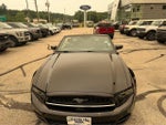 2014 Mustang Thumbnail 11