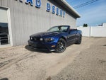 2011 Mustang Thumbnail 2