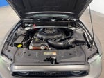 2013 Mustang Thumbnail 9