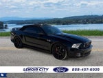2014 Mustang Thumbnail 1