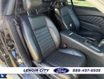 2014 Mustang Thumbnail 13