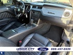 2014 Mustang Thumbnail 14