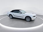 2010 Mustang Thumbnail 8
