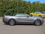 2010 Mustang Thumbnail 3