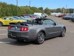 2010 Mustang Thumbnail 4