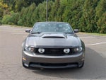 2010 Mustang Thumbnail 9