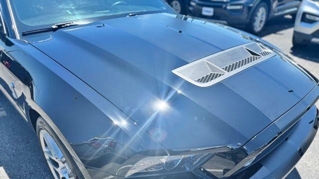2013 Ford Shelby GT500 Base
