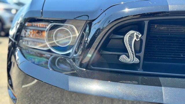 2013 Ford Shelby GT500 Base